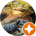 David T profile picture